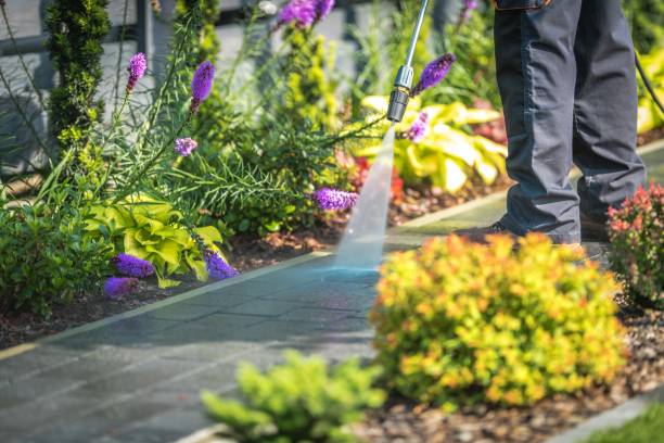 Best Driveway Cleaning and Restoration in Morton, PA