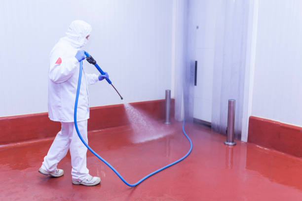 Best Deck and Patio Pressure Washing in Morton, PA